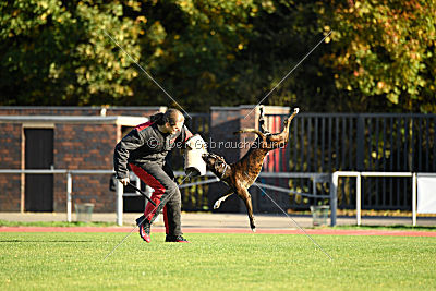 Balin von Moria`s Tor
